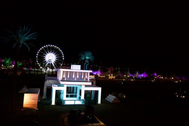 Ferris Wheel Fun at Night