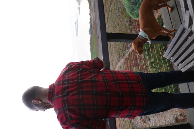 Man and Dog Overlooking Coastal Landscape