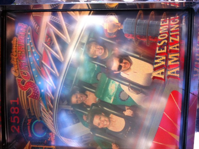 California Screamin' Roller Coaster Thrill Ride Photo