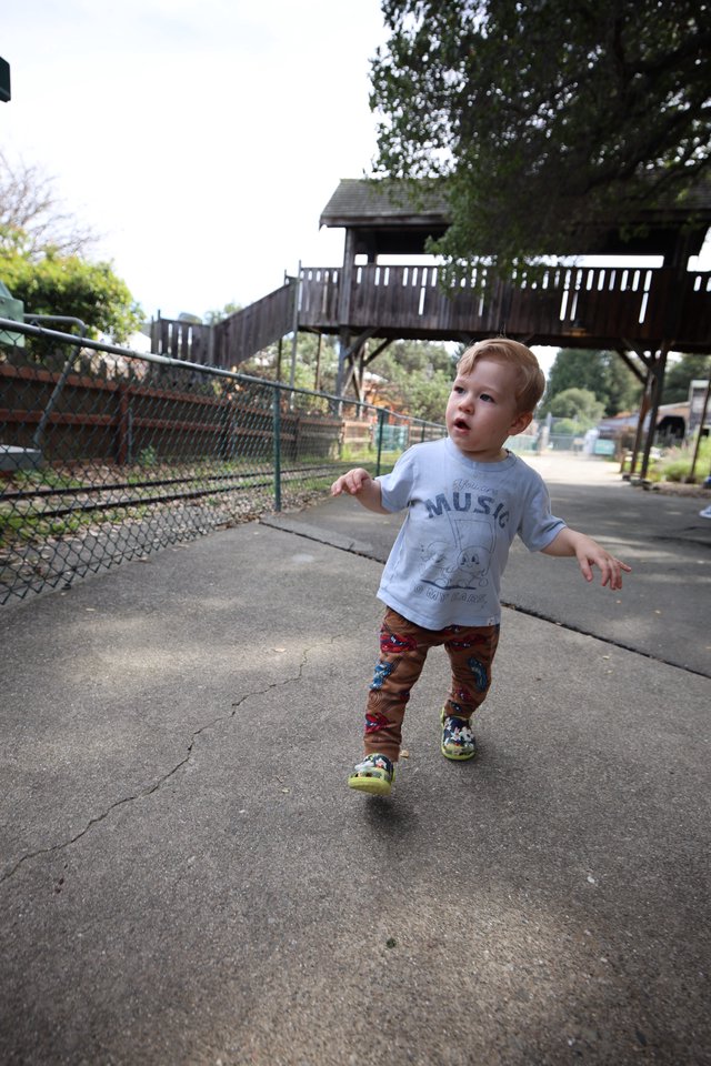 Toddler Exploring Zoo Pathway with Wooden Observation Tower