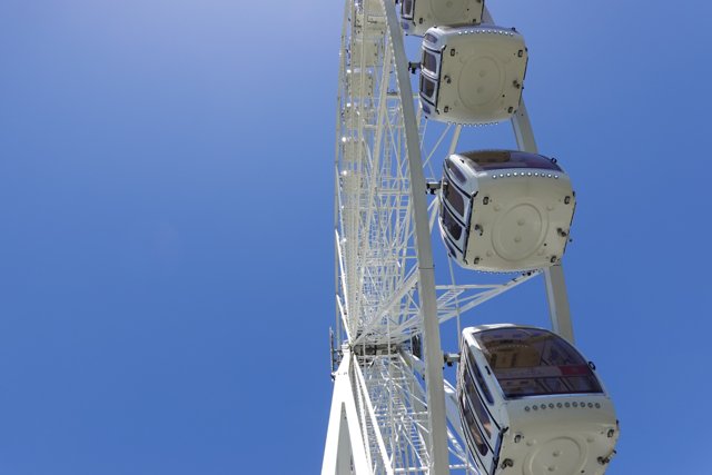 Riding High on the Ferris Wheel