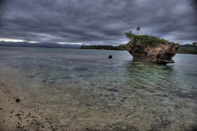 Tree-topped promontory on Fiji coast