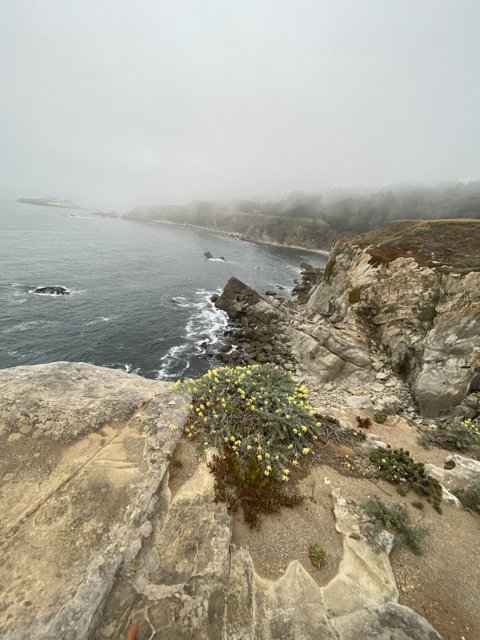 Coastal Scenery at Jenner's Promontory