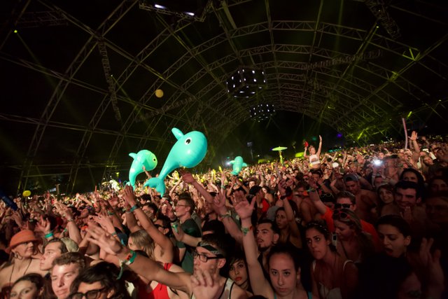 Dolphin Jumps into the Crowd at Coachella