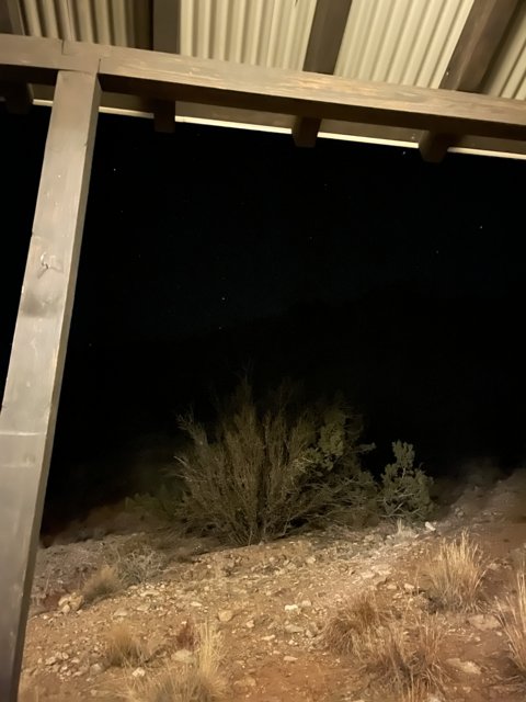 Night Sky Views from a Cozy Porch in Sandia Park