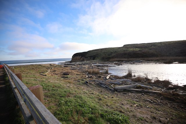 Driftwood Strewn Coastline at Drakes Beach