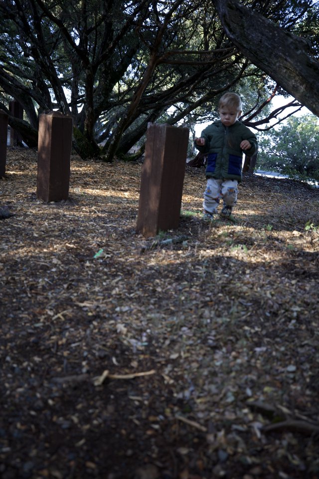 Young Explorer Among Rustic Posts at Mount Diablo