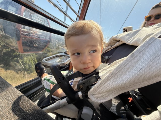 A Day at the Zoo