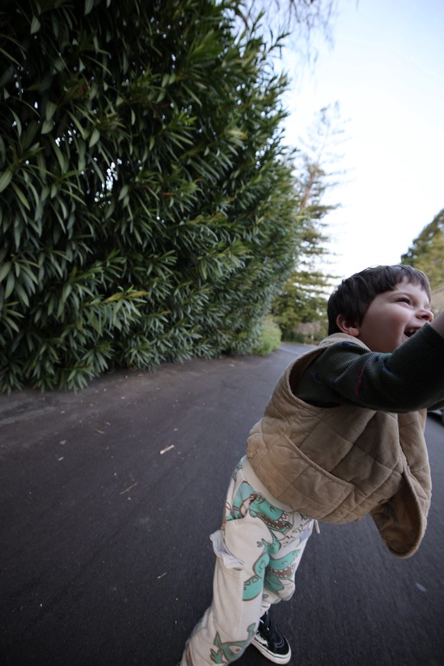 Young Boy Running Joyfully Down Tree-Lined Path