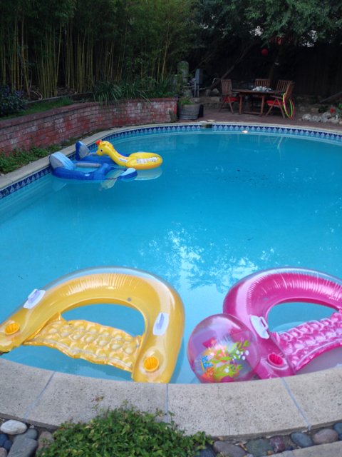 Summer Fun in Altadena Pool