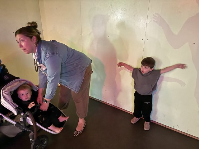 Shadows Play