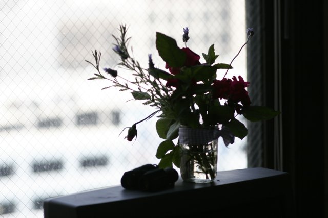 Window Sill Blooms
