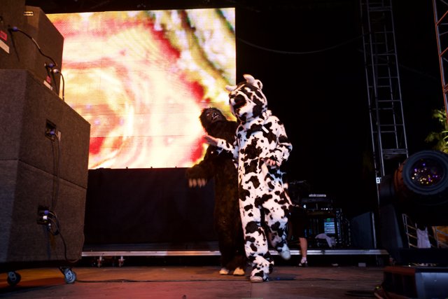 Dancing Cow Takes Over Coachella Stage