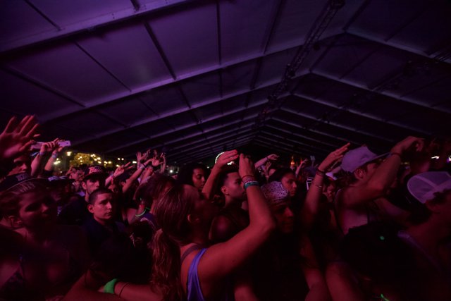 Coachella Crowd's Hands in the Air