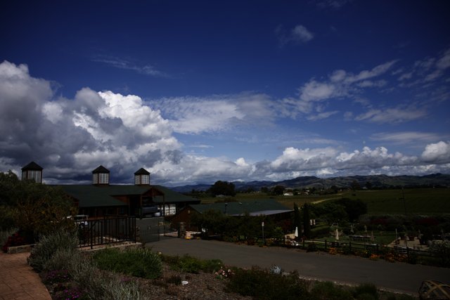 A Breathtaking View of Bouchaine Vineyards & Winery