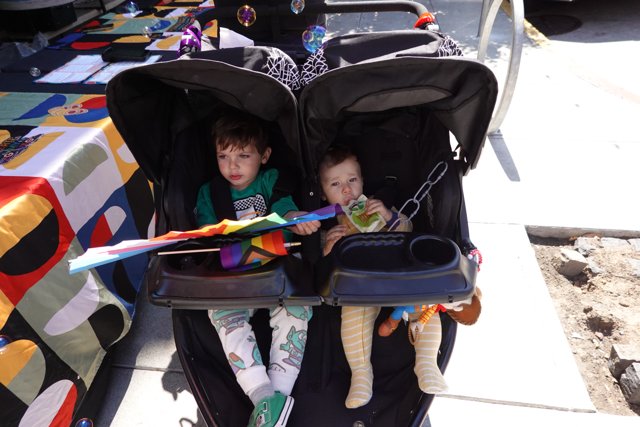 Double Stroller Adventures