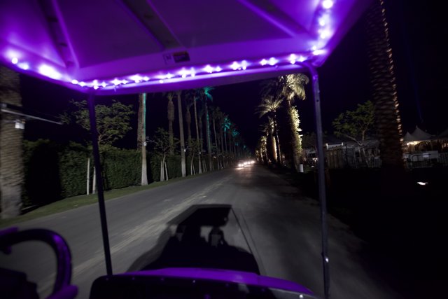 Nighttime Cruise with Purple Glow
