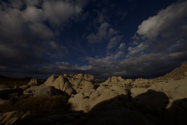 A Majestic View of the Joshua Tree Landscape