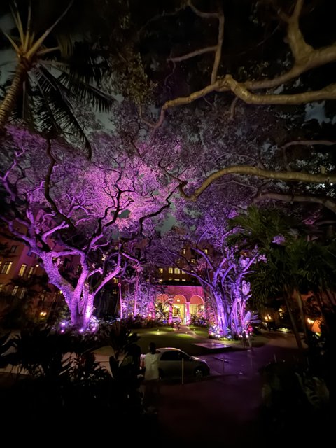 Enchanted Evenings at The Royal Hawaiian