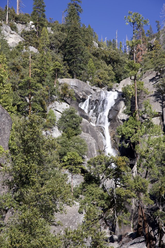 Cascade Falls Through Sierra Nevada Forest