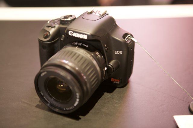 Canon EOS Rebel T2i: The Perfect Camera for Recreation