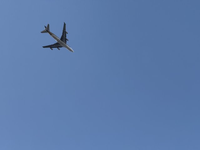 Skyward Bound: An Aerial Marvel