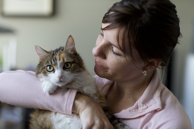 Woman Tenderly Gazes at Her Calico Cat
