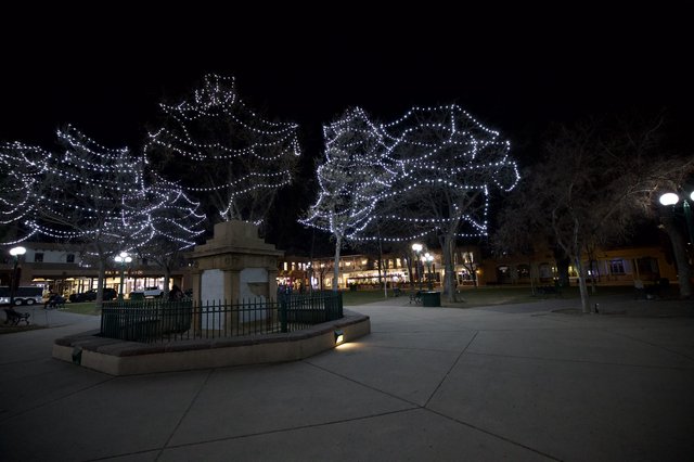 Illuminated Trees at Santa Fe Plaza at Night