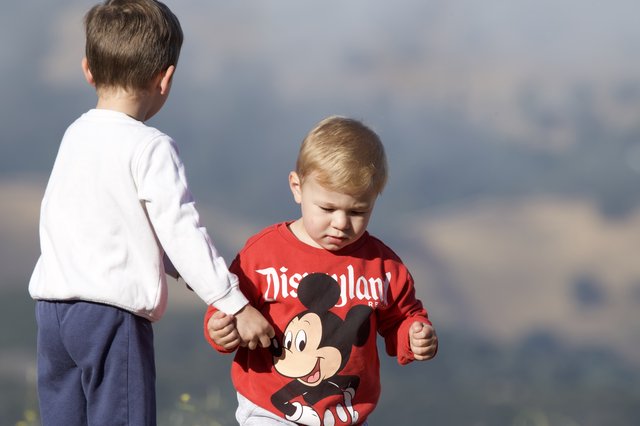 Two Young Brothers Hold Hands on Mountain Summit