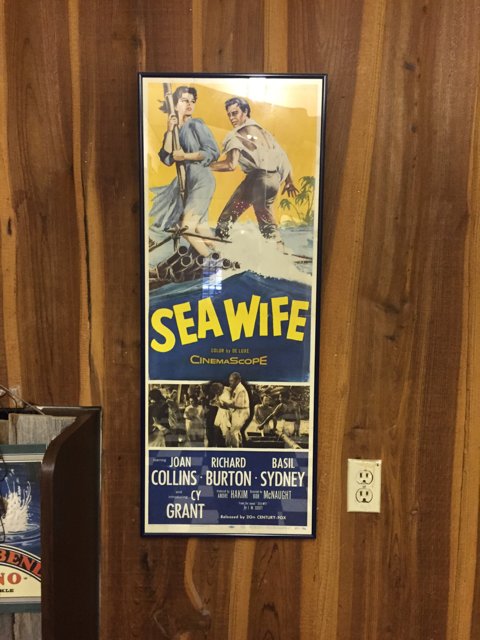 Sea Wife Movie Poster on Wooden Wall