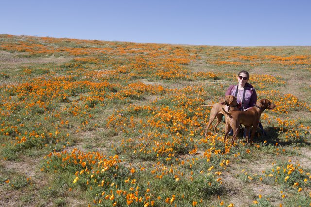 A Day in the Wildflowers