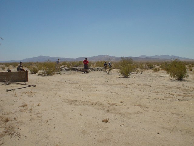 A Desert Gathering