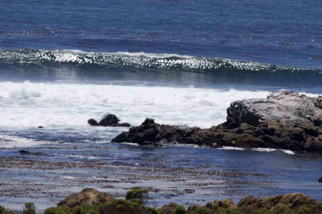 Coastal Serenity at Cayucos