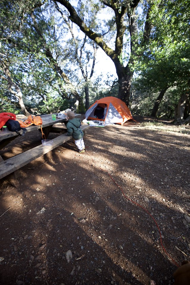Toddler Explorer at Mount Diablo Campsite