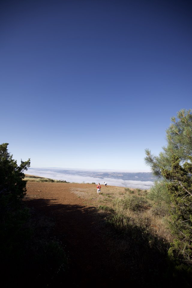 Trail Runners Above the Clouds at Mount Diablo