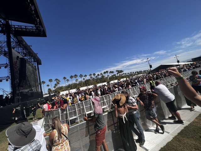 Concertgoers Soaking Up the Sun
