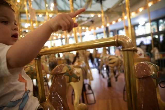 Pointing Out the Wonders: A Day at the Carousel