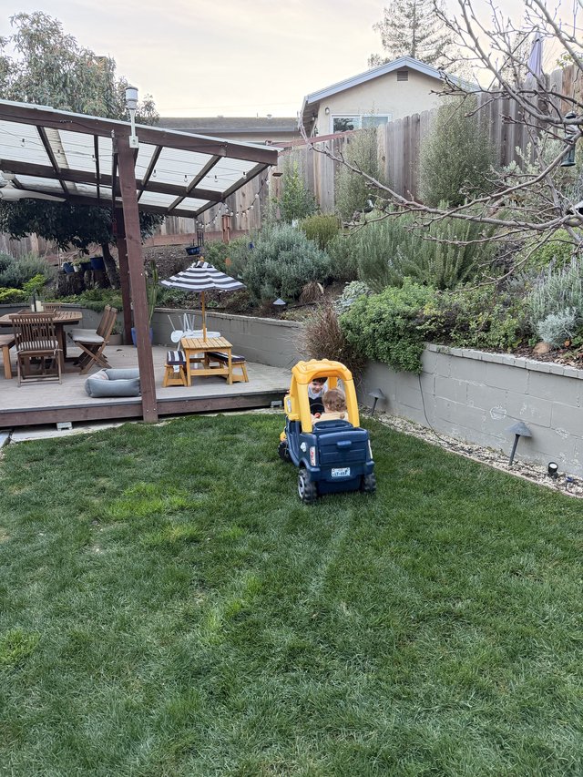 Toddler in Toy Truck Exploring Landscaped Backyard