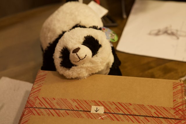 Boxed Panda Companion