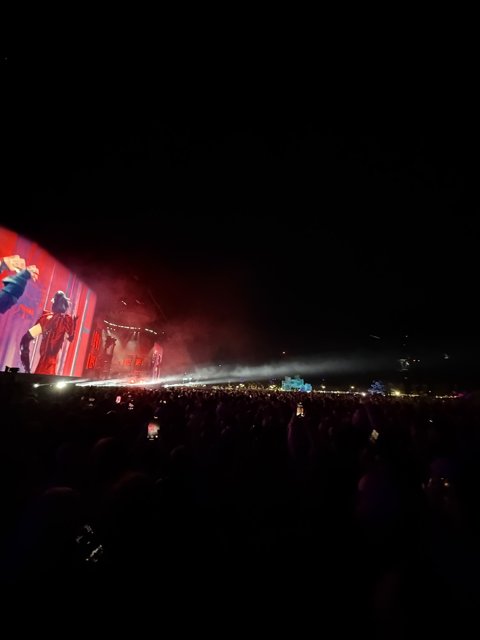 Electric Vibes Under the Stars