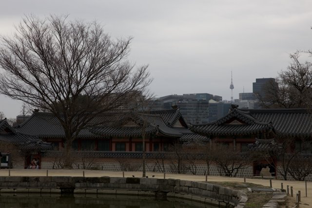 Sacred Serenity: An Urban Oasis in Korea