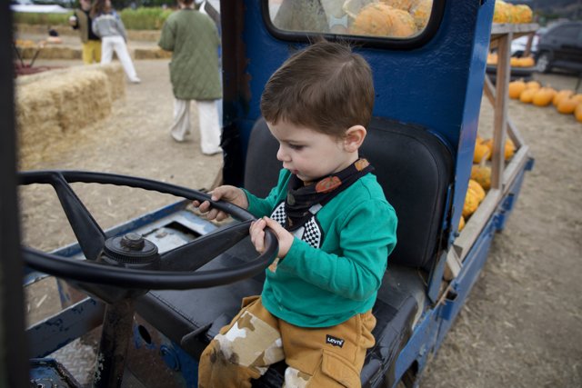 Mini Driver at the Pumpkin Patch