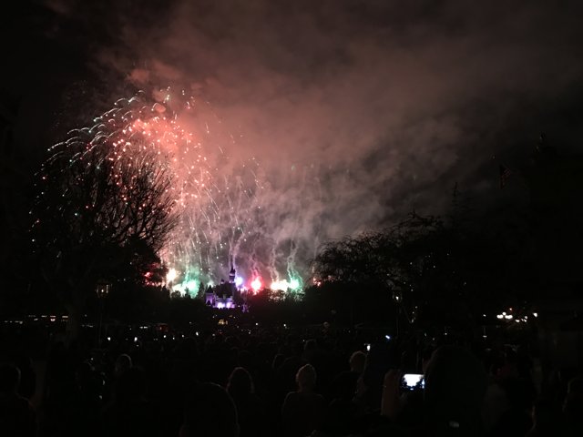 Disneyland Fireworks Spectacular