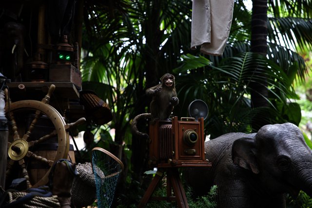 The Elephant Photographer: A Whimsical Adventure