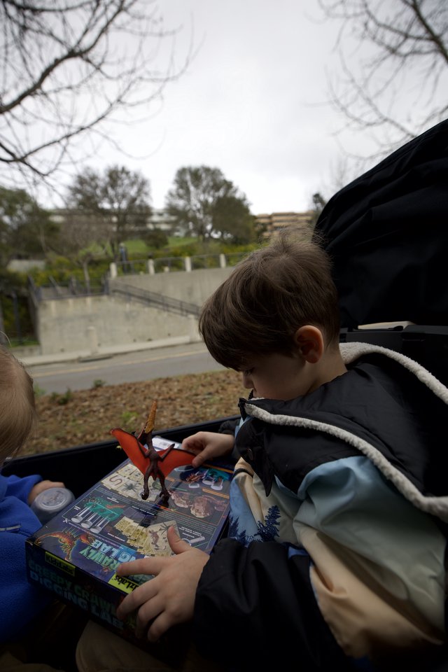 Child Reading Dinosaur Book on Road Trip