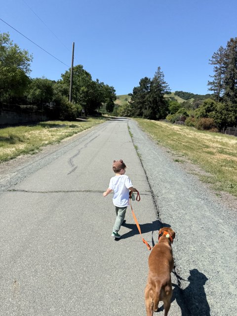 A Stroll in Walnut Creek