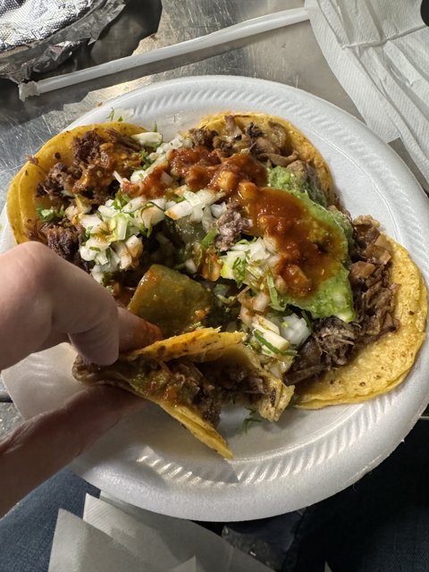 Taco Fiesta, Austin Style