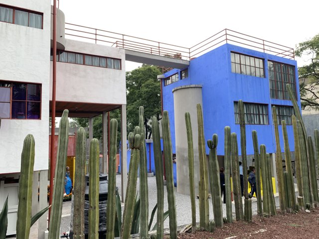 Blue Building and Cactus