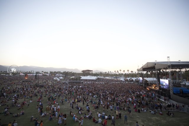 Coachella 2014: The Ultimate Music Experience
