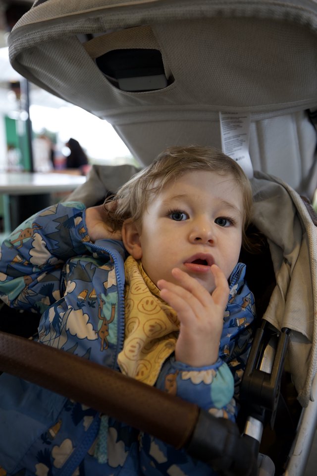 Toddler in Stroller with Finger Near Mouth